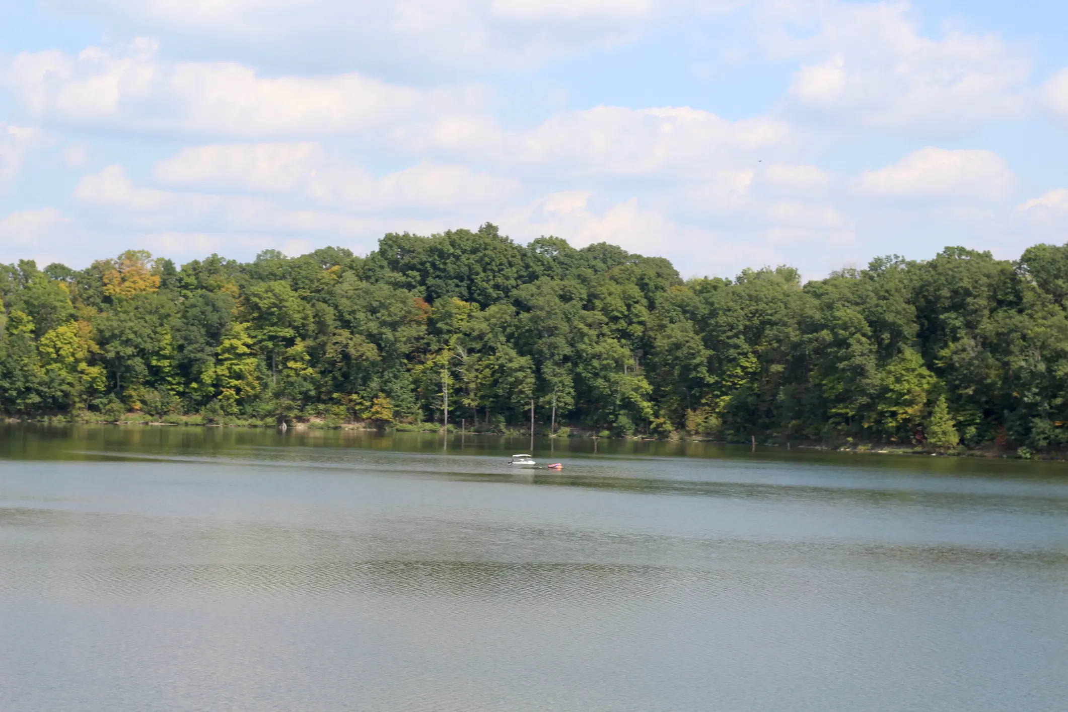 A beautiful sunny day at the lake in the countryside.